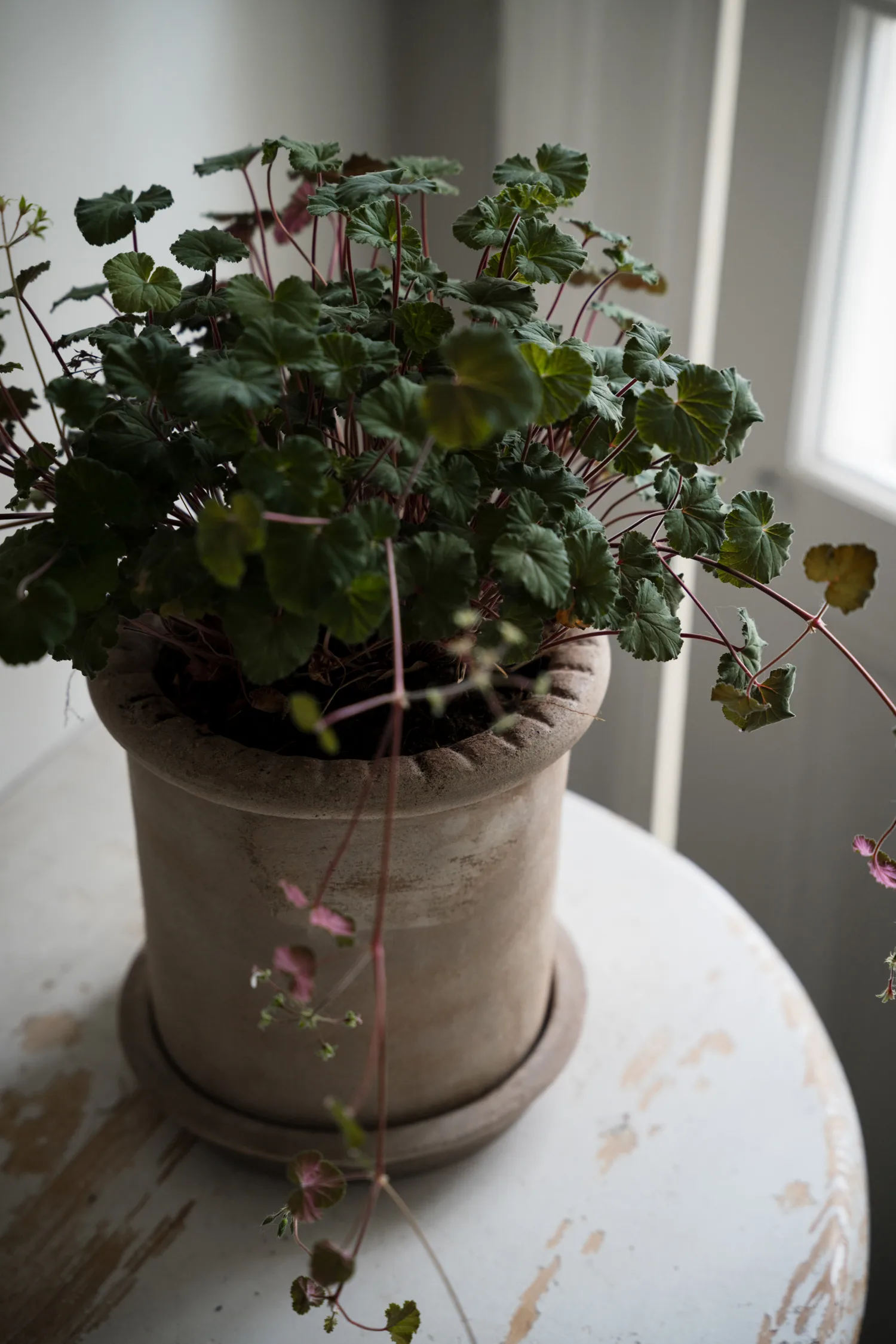 Donica Ernst z terakoty z podstawką, Ø20×20 cm ERNST