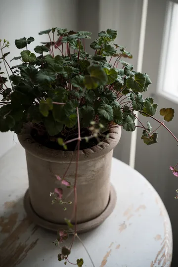 Donica Ernst z terakoty z podstawką - Ø20×20 cm - ERNST