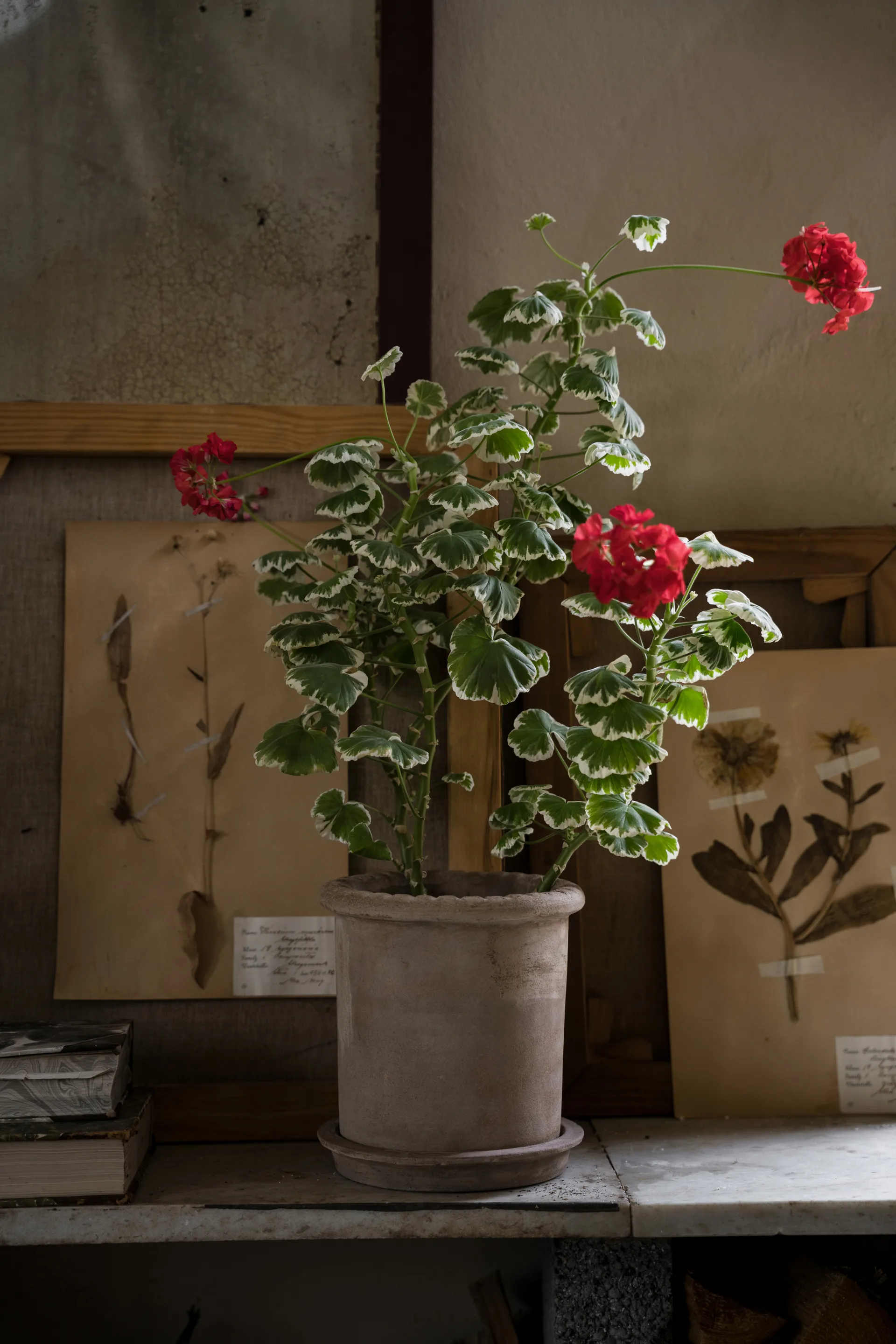 Donica Ernst z terakoty z podstawką, Ø20×20 cm ERNST