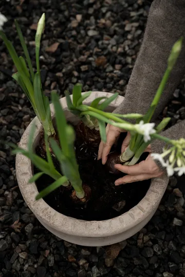 Donica Ernst z terakoty z podstawką - Ø33x12 cm - ERNST
