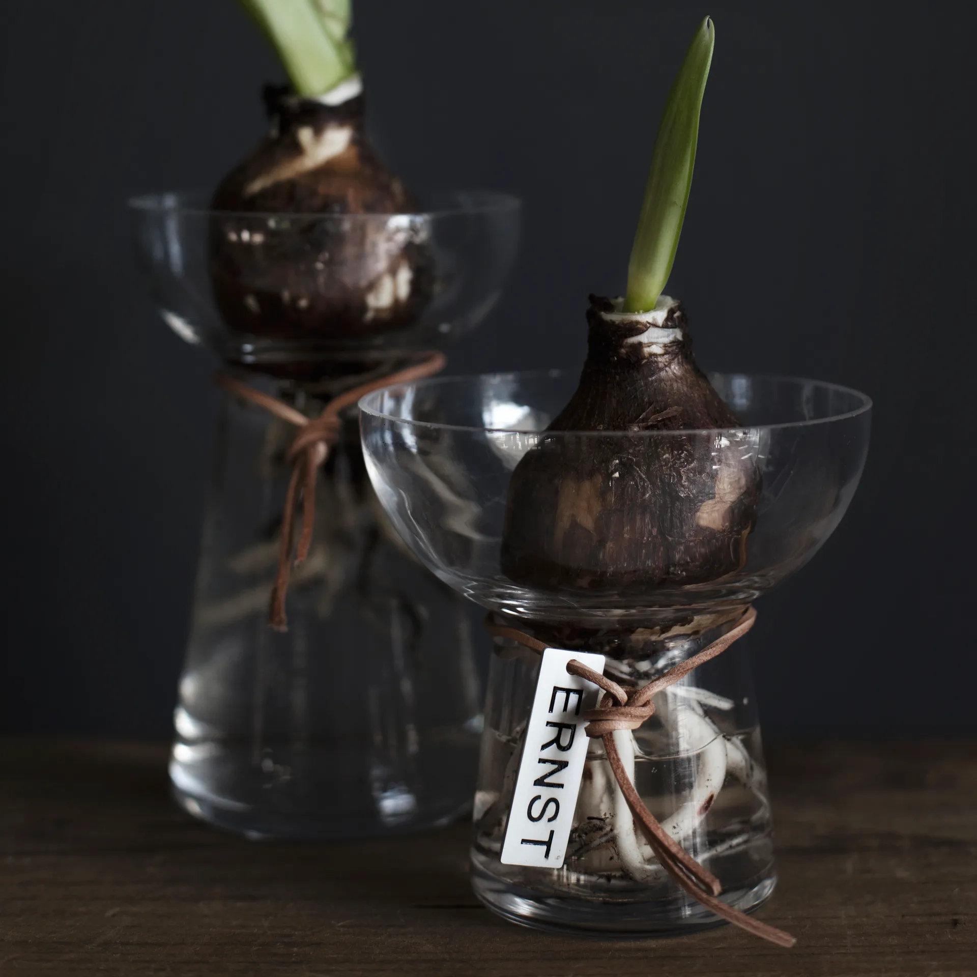 Ernst wazon na hiacynty 11 cm, Przezroczysty ERNST