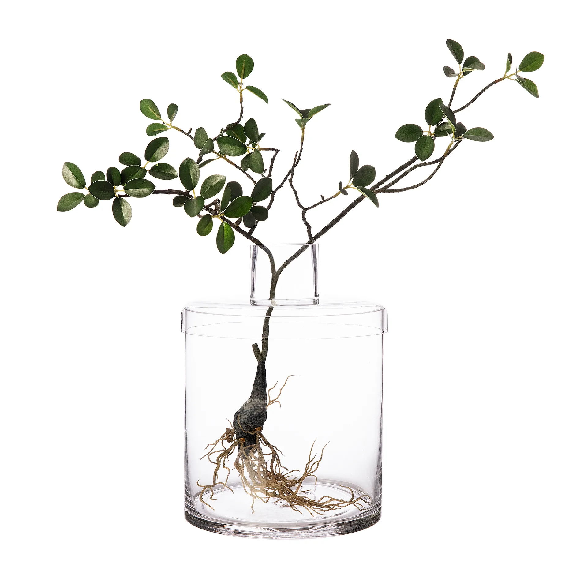 Ernst wazon szklany przezroczysty, Ø20,8 cm ERNST