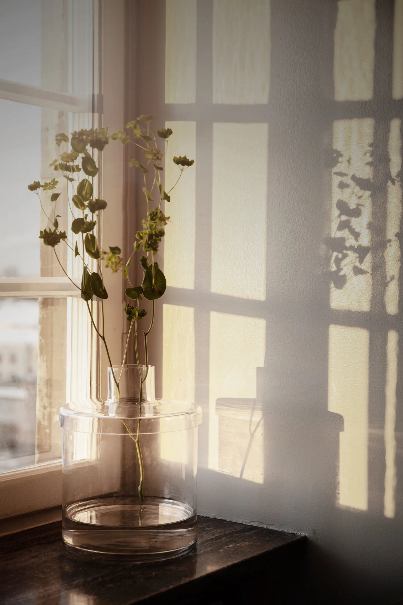 Ernst wazon szklany przezroczysty, Ø20,8 cm ERNST