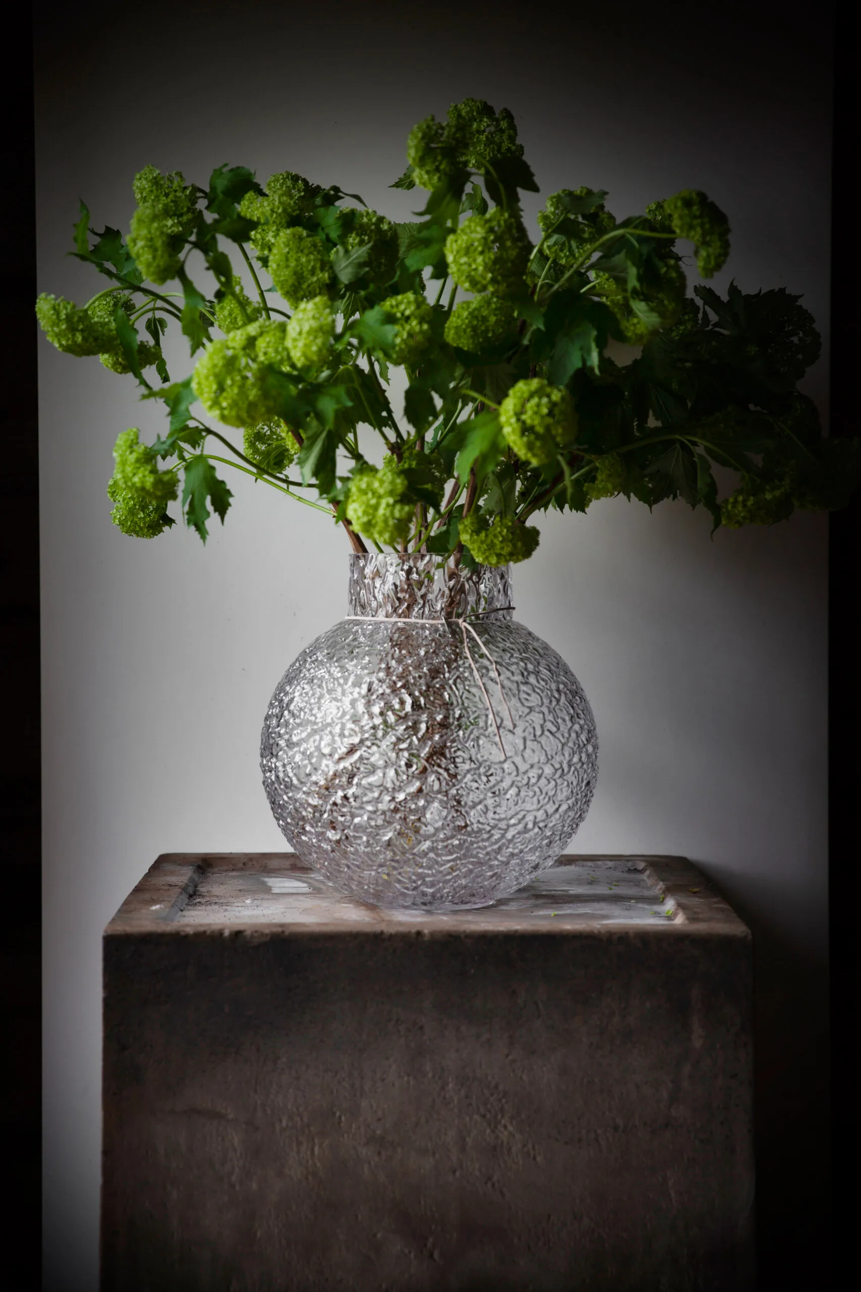 Ernst wazon szklany strukturalny przezroczysty, Ø29 cm ERNST