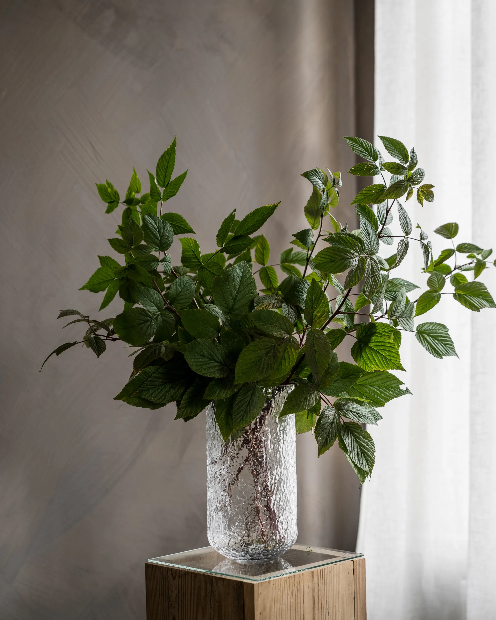 Ernst wazon wzorzysty 25 cm, Przezroczysty ERNST