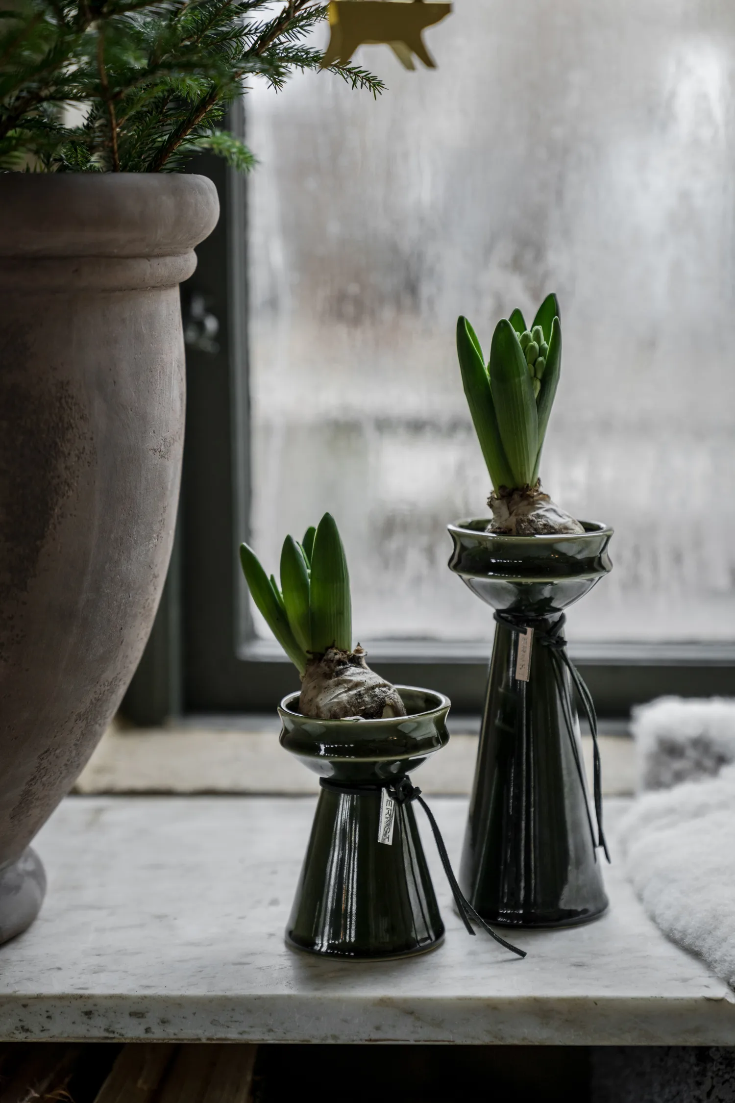 Wazon hiacynt Ernst 12 cm, Ciemnozielony ERNST