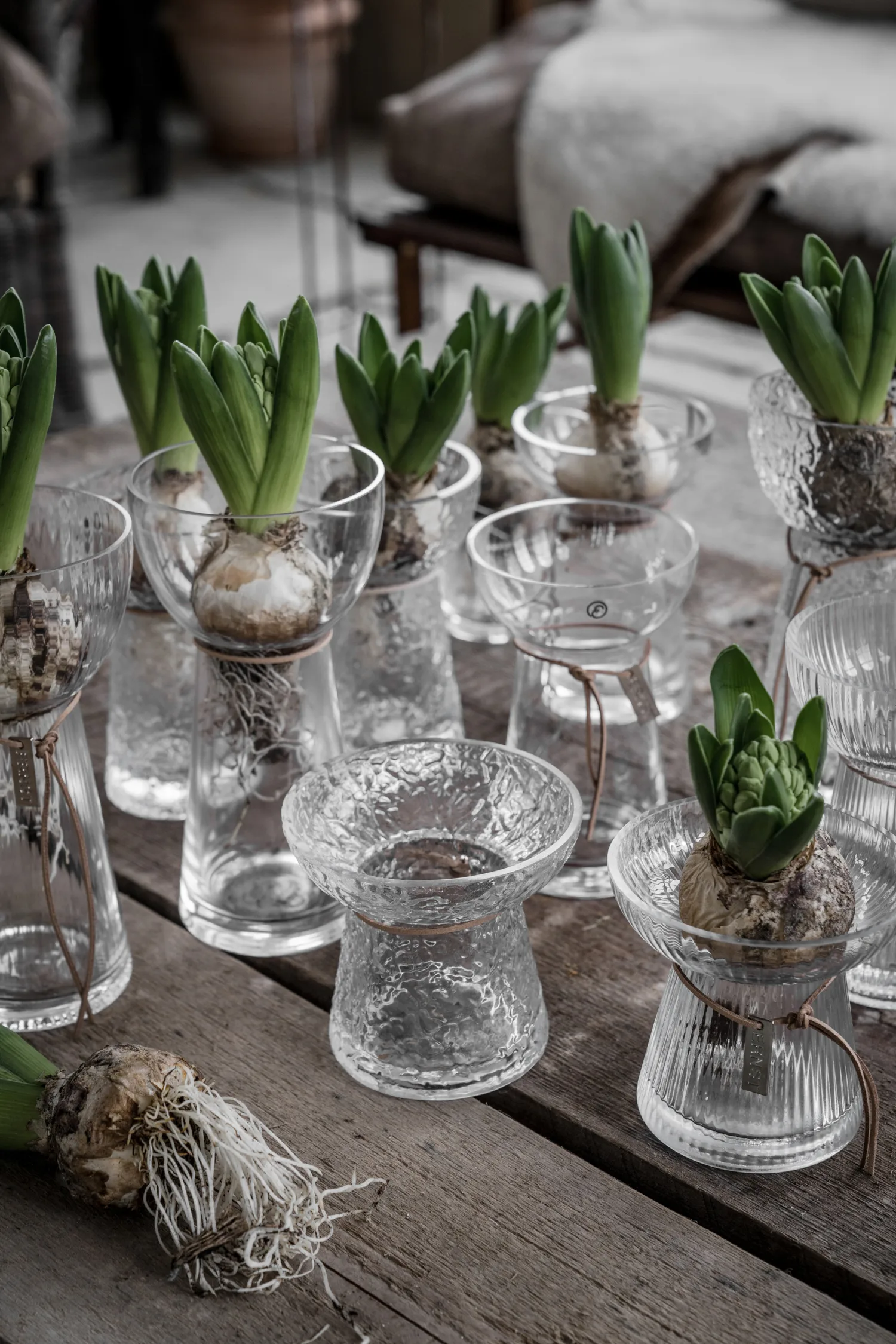 Wazon hiacynt Ernst - wzorzysty, 19 cm ERNST