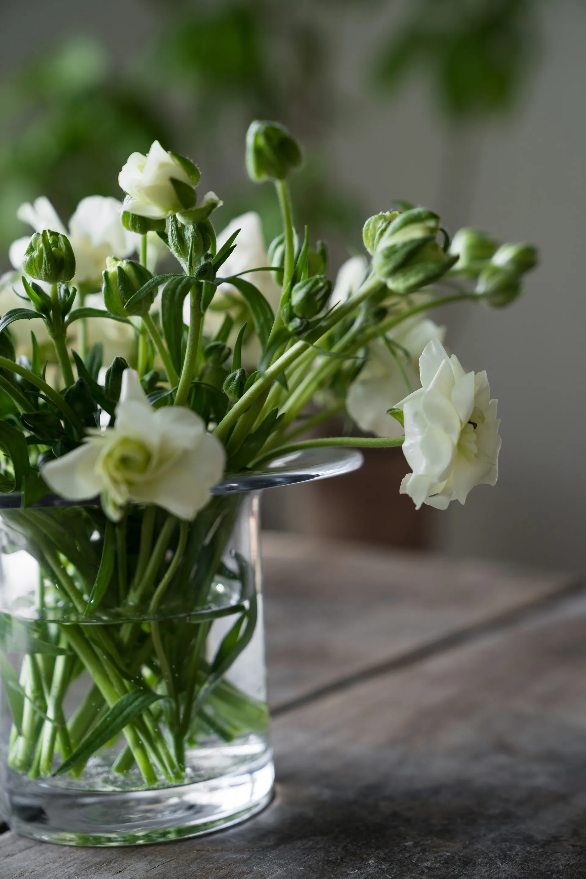 Wazon szklany Ernst Ø17 cm, H 13 cm ERNST