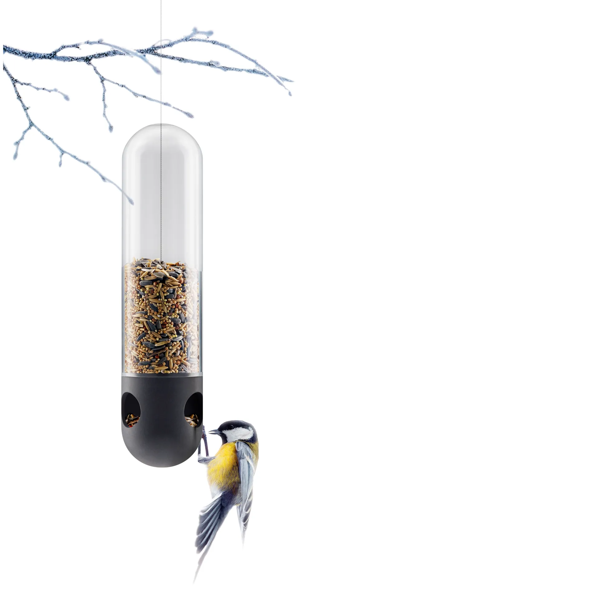 Eva Solo karmnik dla ptaków rurowy, Przezroczysty Eva Solo