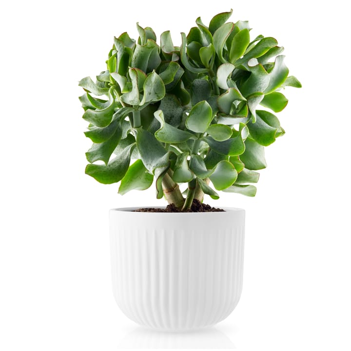Eva Trio Legio Nova garnek biały, Duży ø15.5 cm Eva Solo