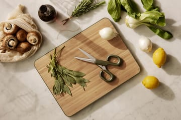 Nożyczki kuchenne Green tool 20 cm - Zielony - Eva Solo