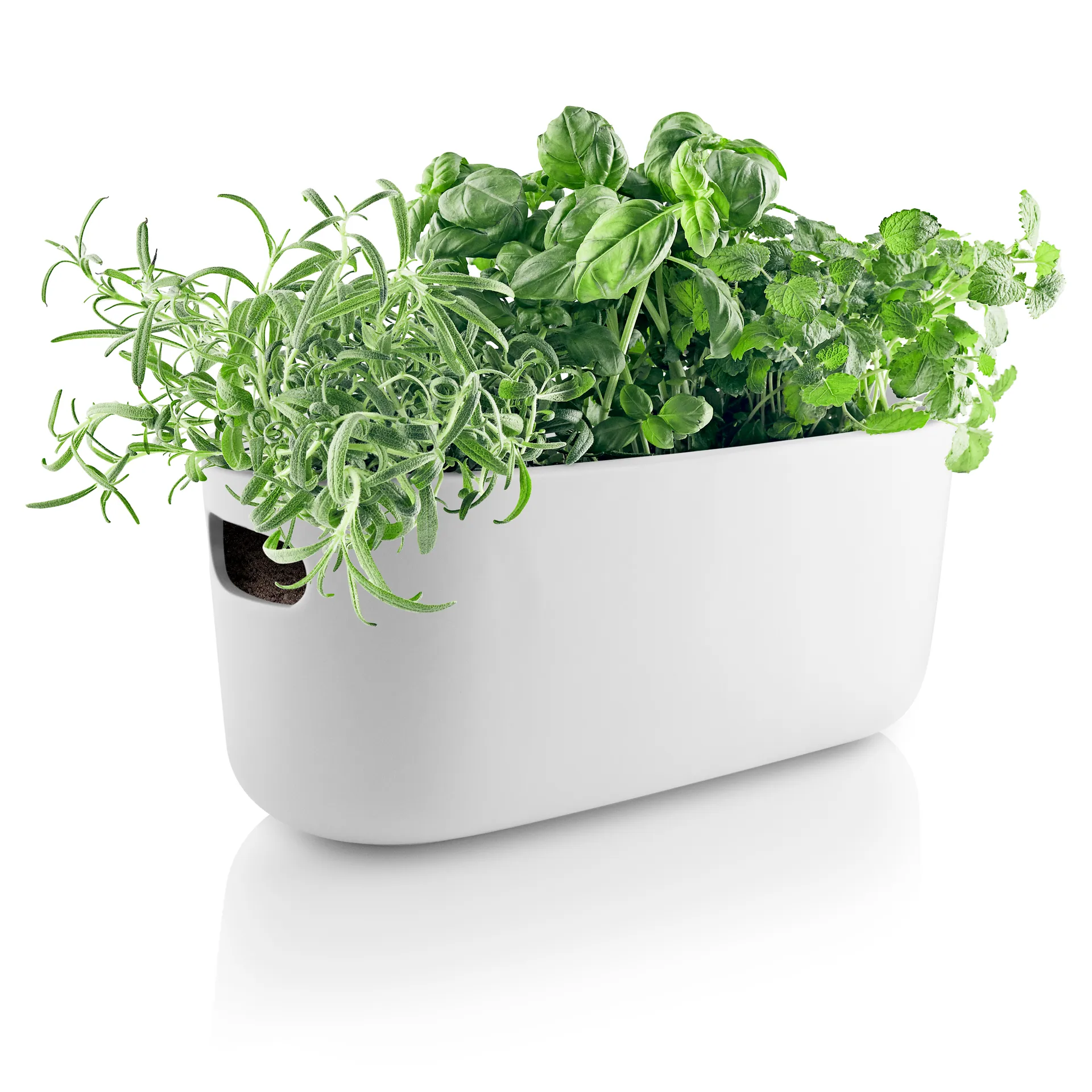 Samopodlewający organizer na zioła Eva Solo, Biały Eva Solo