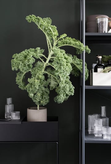 ferm LIVING plant box, kwietnik - black (czarny) - Ferm Living