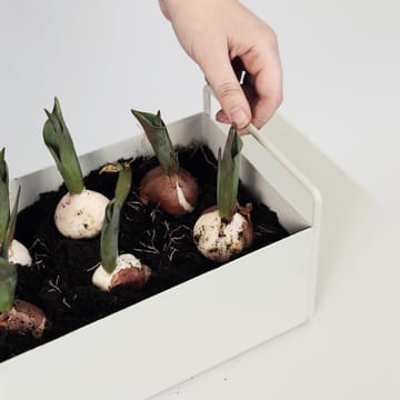 ferm LIVING plant box, kwietnik mały - light grey - ferm LIVING