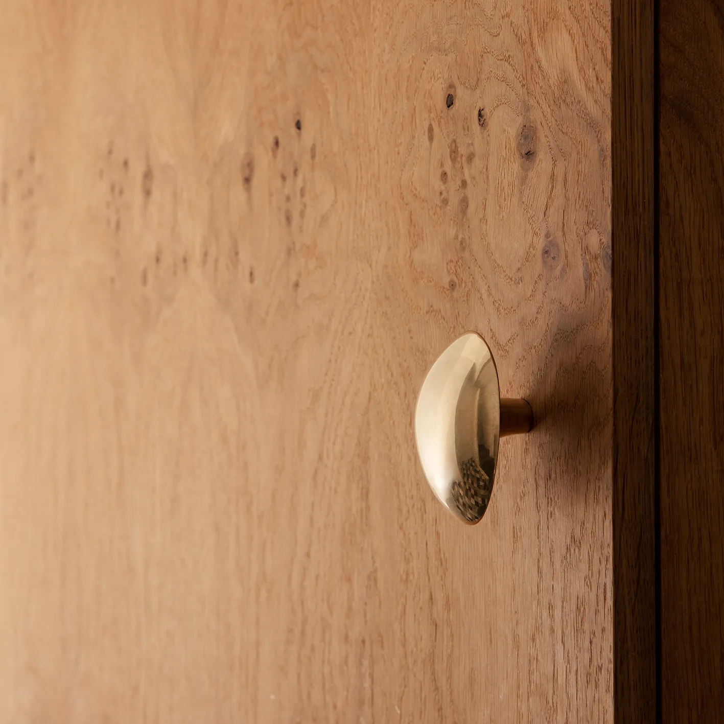 Lemon wieszak, brass Ferm Living