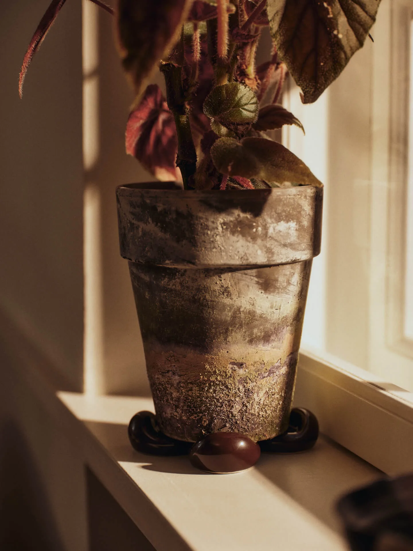 Nube nóżki do doniczki, zestaw 4 szt., Carob brown Ferm Living