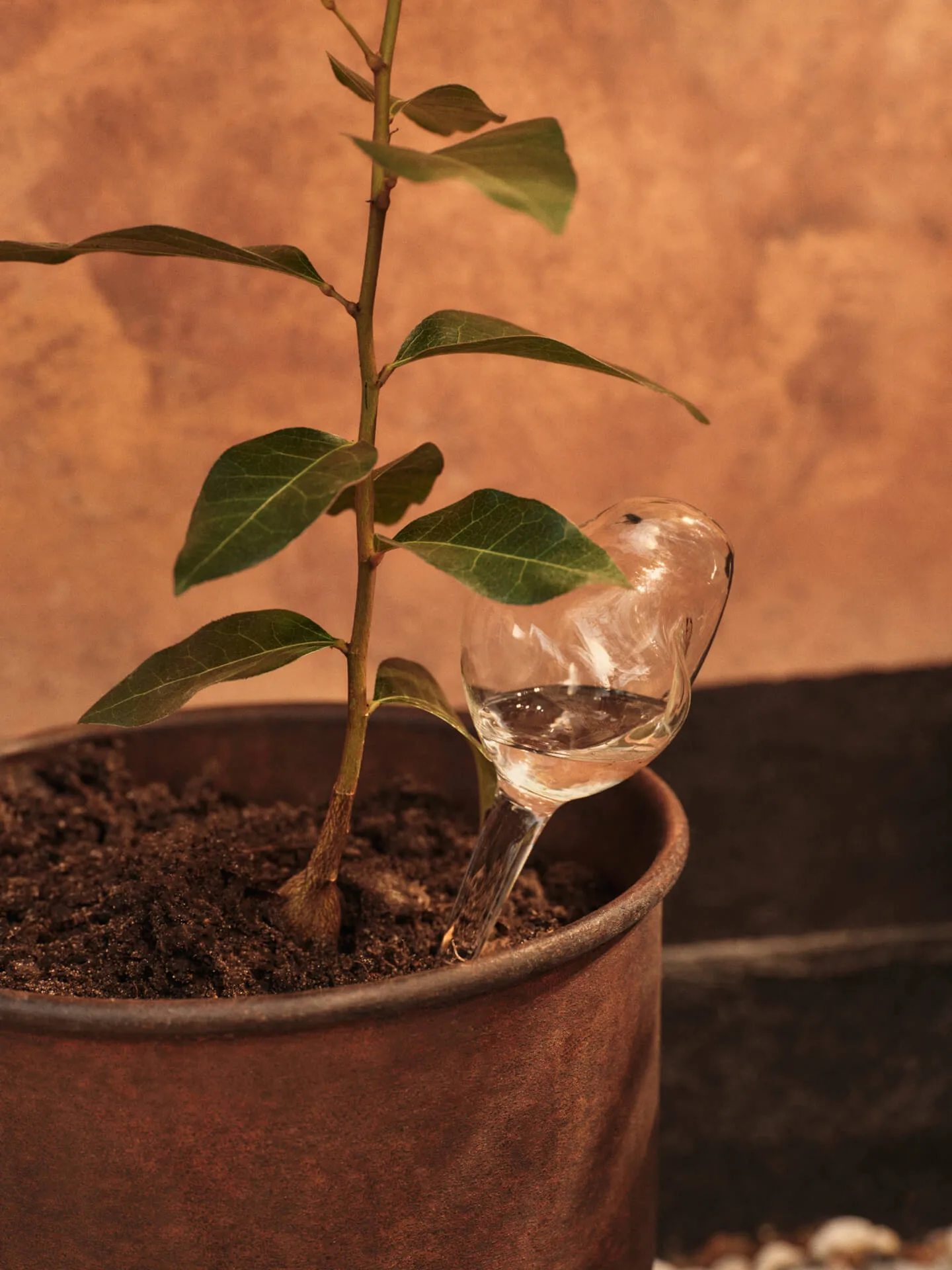 Szklany nawadniacz Mercury 2 części, Clear, 12x18,5 cm Ferm Living