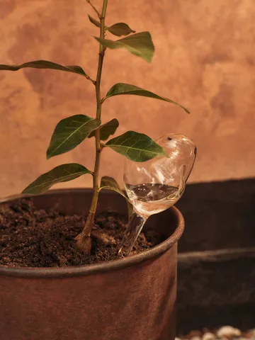 Szklany nawadniacz Mercury 2 części - Clear, 12x18,5 cm - Ferm Living