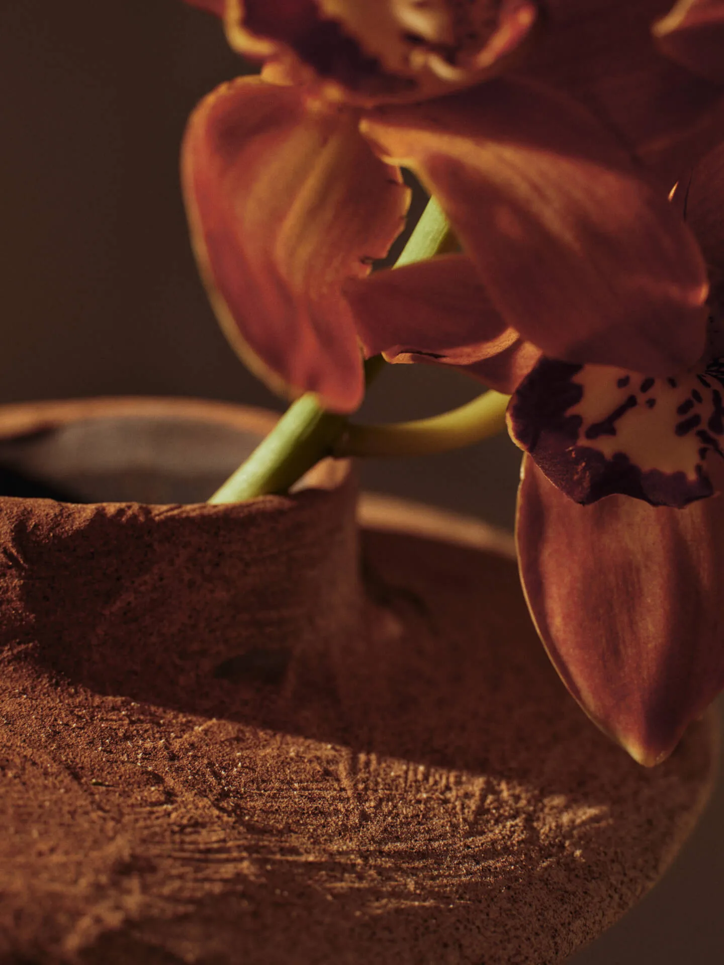 Wazon Evio, Burnt umber, Ø25x22 cm Ferm Living