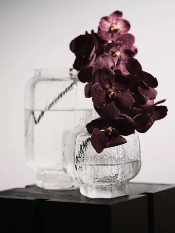 Wazon Mokuri - Clear, 25 cm - Ferm Living