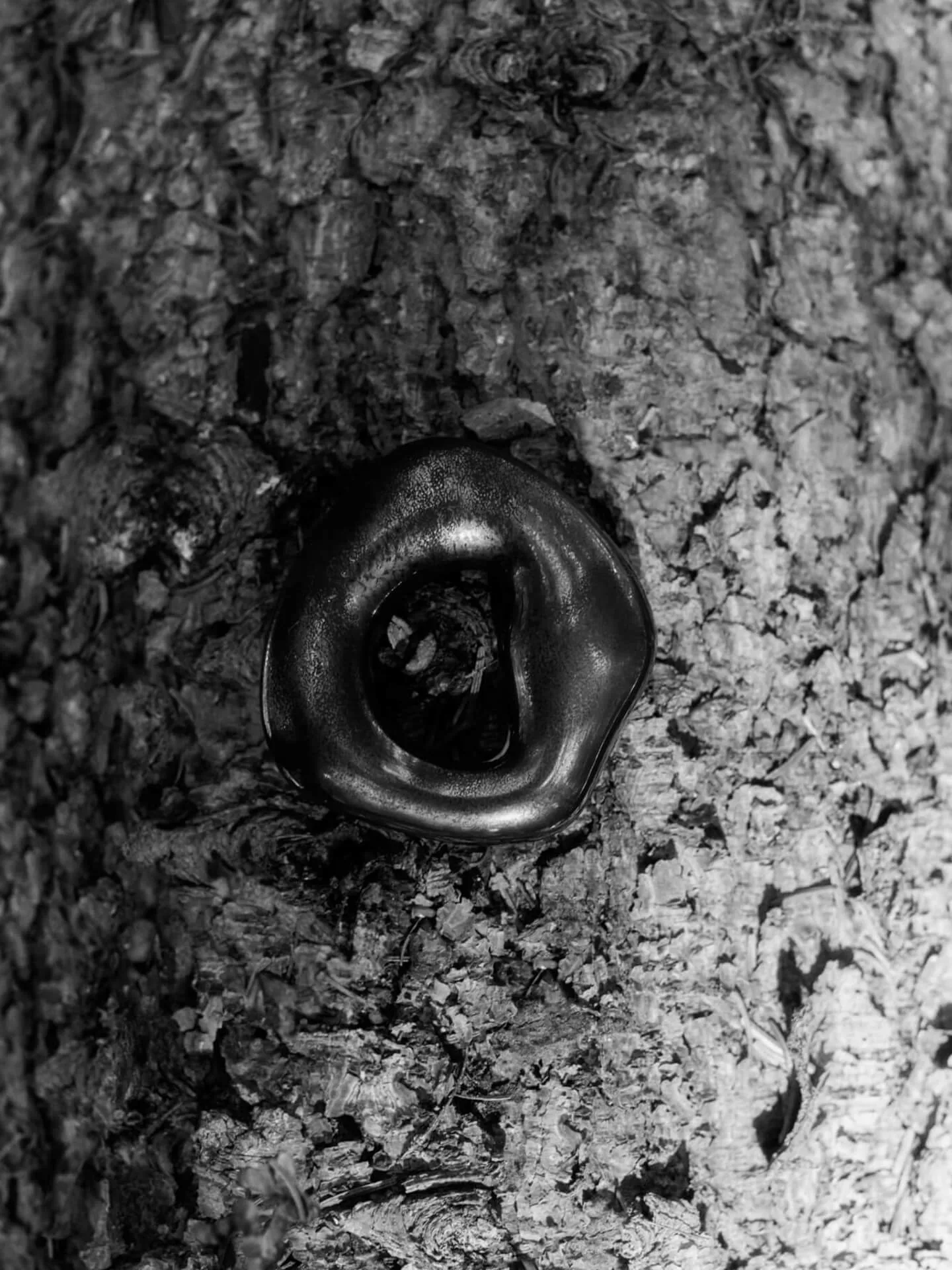 Zawieszka dekoracyjna Orrith, 2 części, Rustykalny brąz Ferm Living