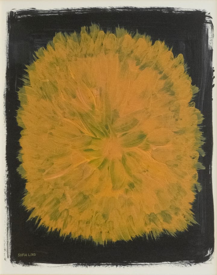 Plakat "Dandelion" 40x50 cm - Żółto-czarna - Fine Little Day