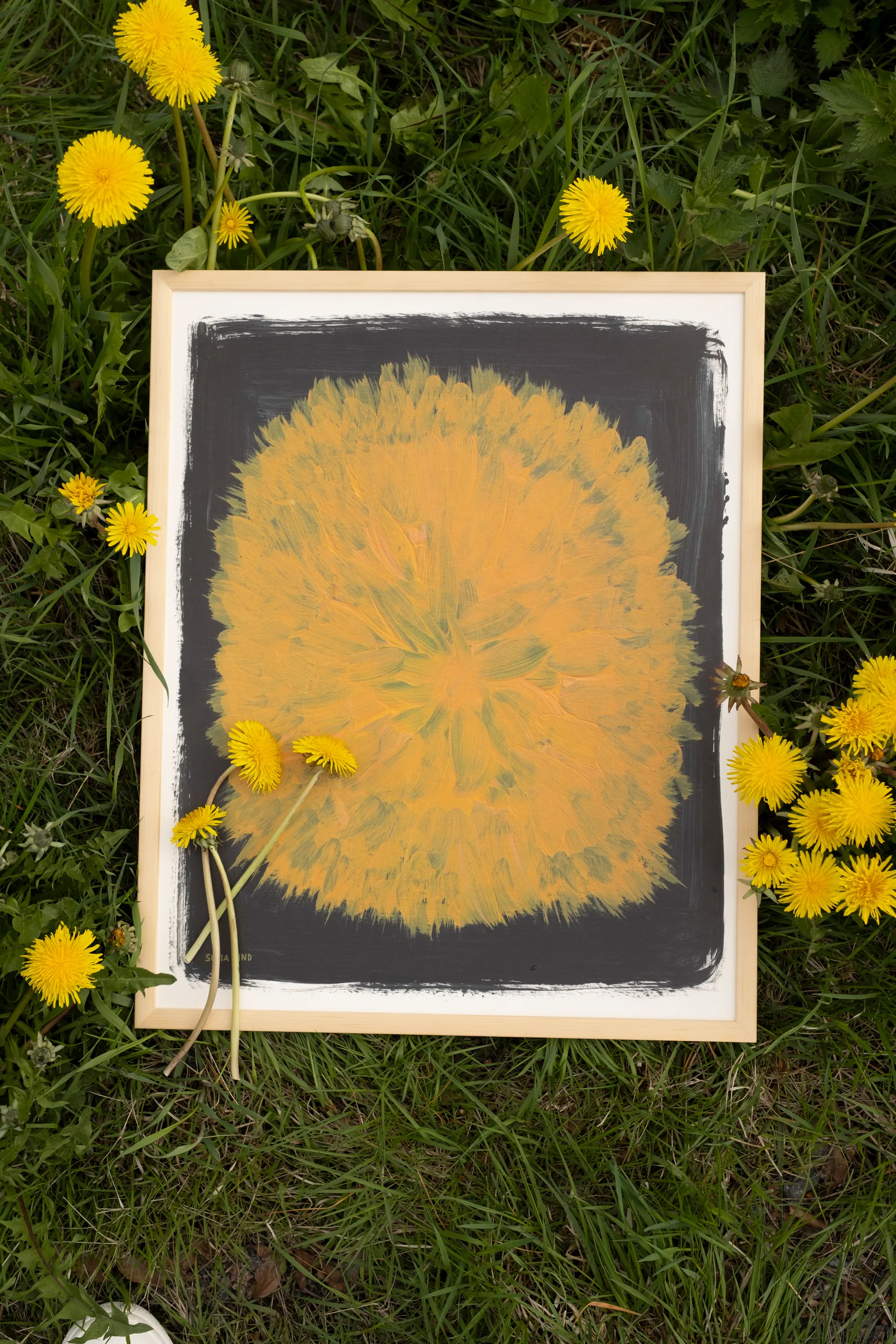 Plakat "Dandelion" 40x50 cm, Żółto-czarna Fine Little Day