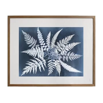 Plakat Fern star - 40x50 cm - Fine Little Day