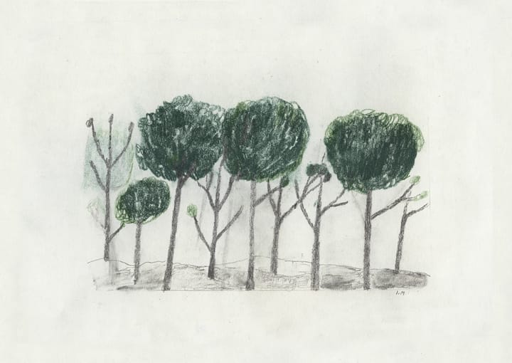 Plakat Trees 50x70 cm - Czarny - biały - Fine Little Day