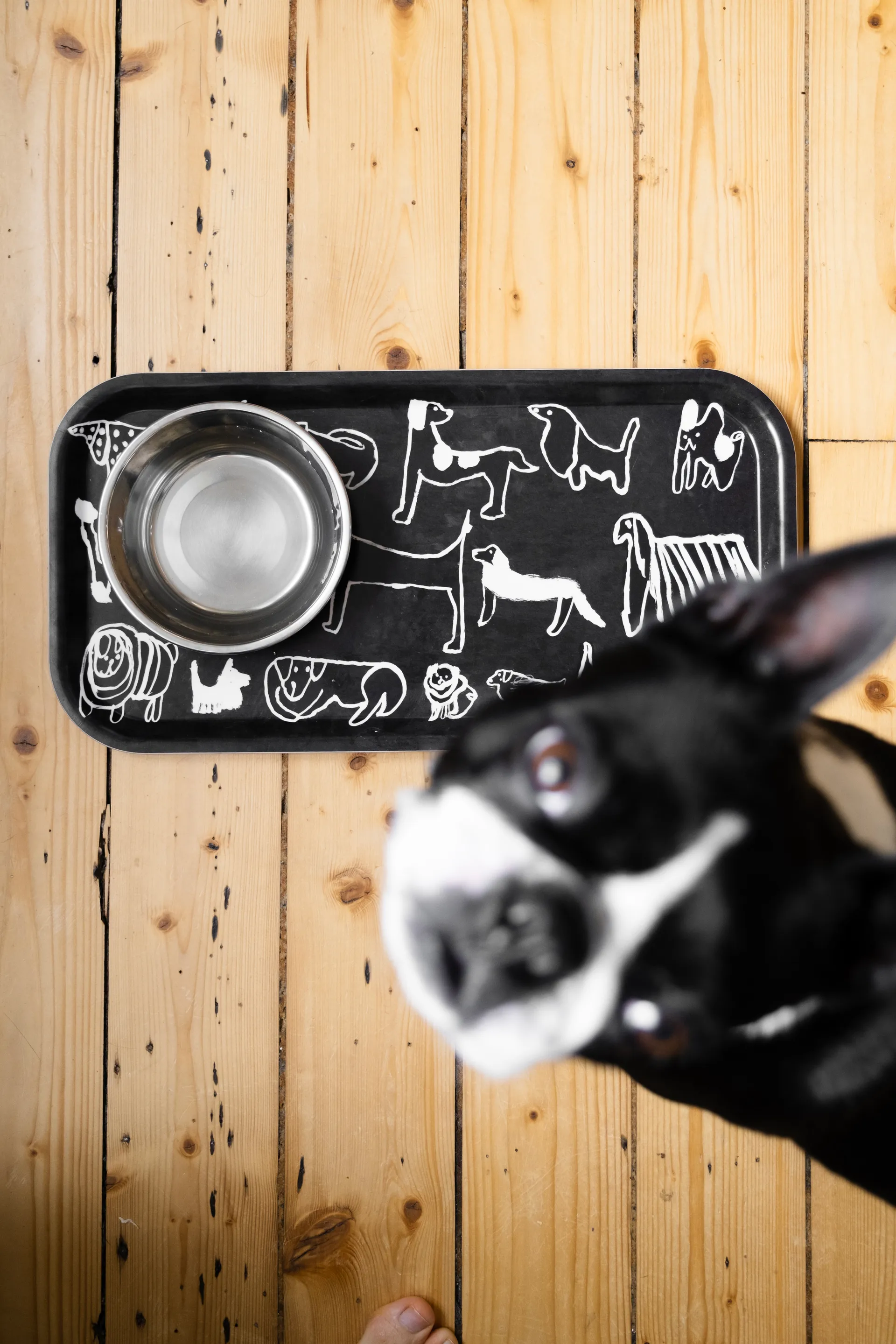 Taca Dogs 22x43 cm, Black-white Fine Little Day