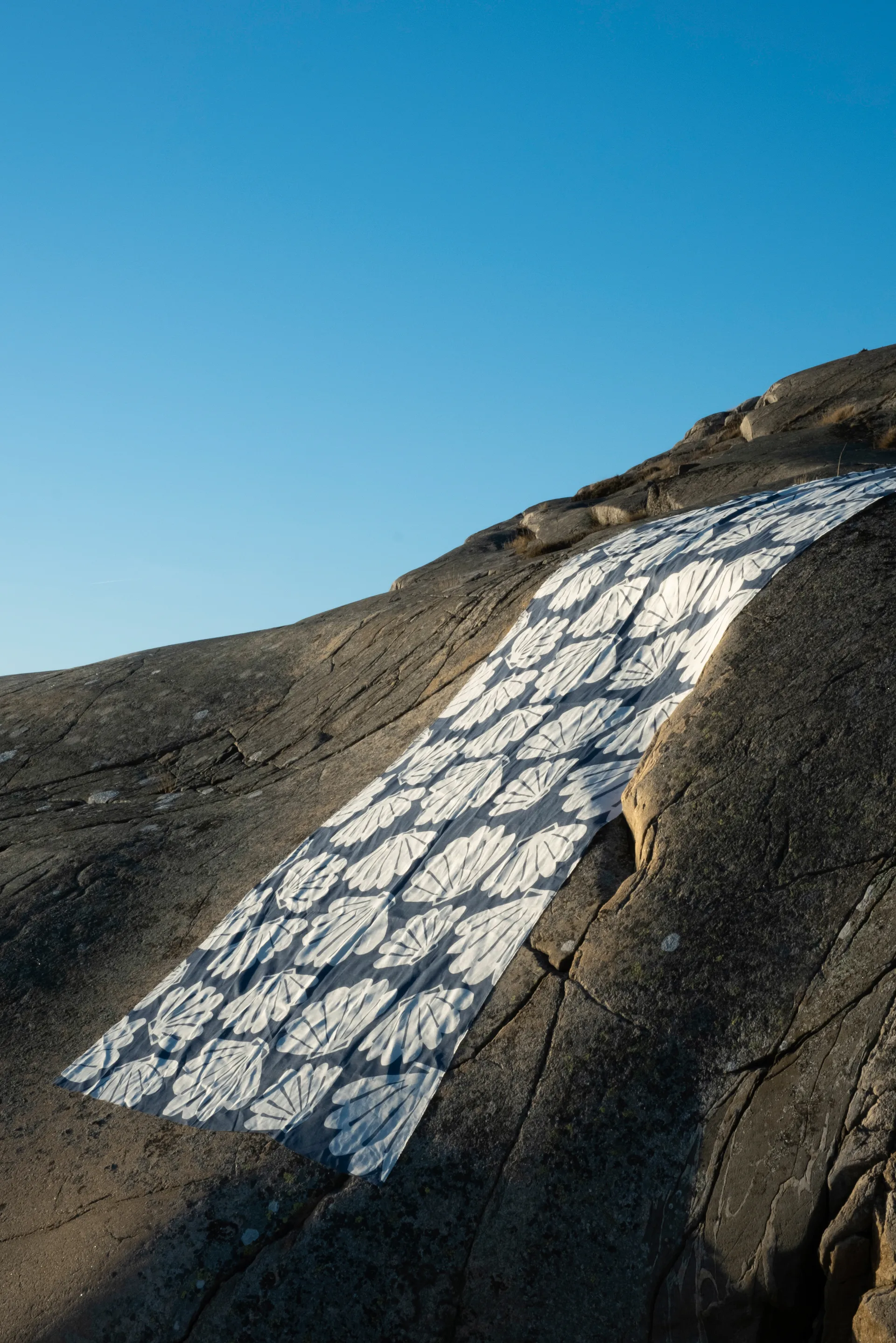 Tkanina z motywem muszli, Niebieski Fine Little Day