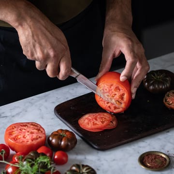 Nóż do pomidorów All Steel - 12 cm - Fiskars