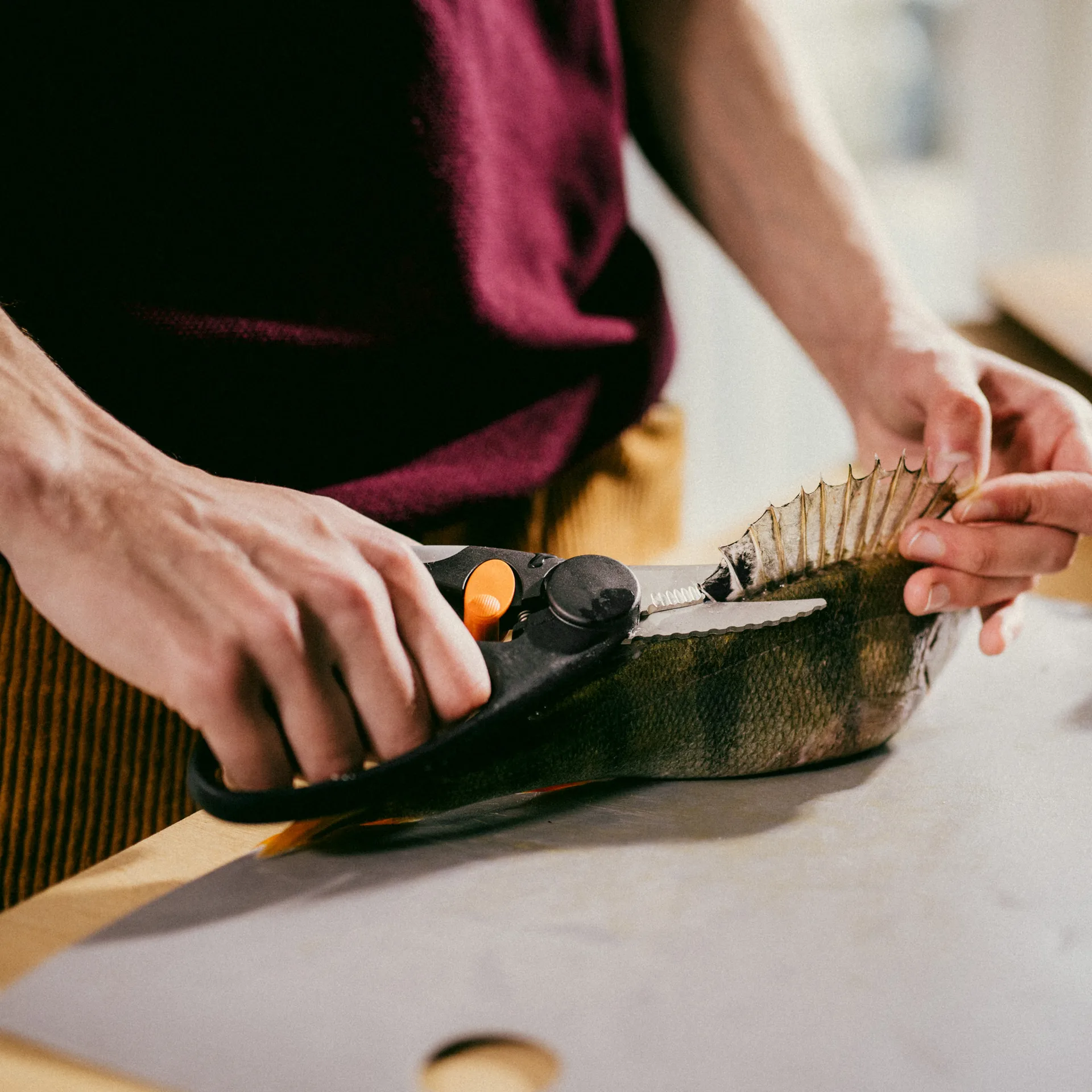 Nożyce do ryb Functional Form Renew, 22 cm Fiskars