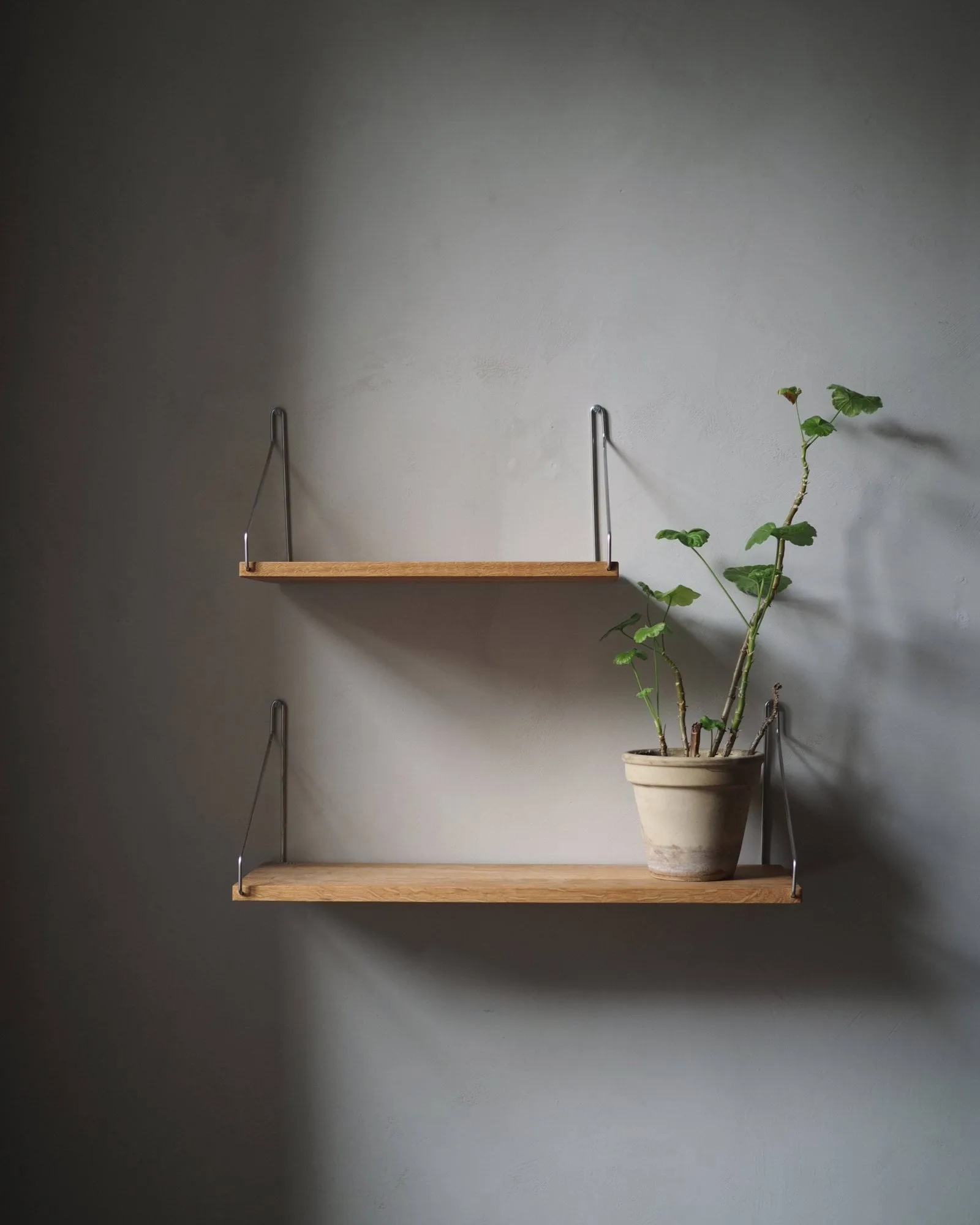 Półka ścienna Single Shelf, Dąb-stal nierdzewna, 60x20 cm FRAMA