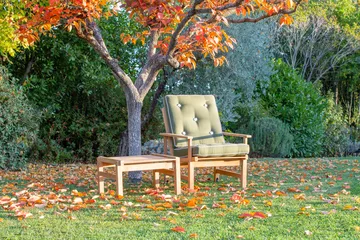 Fotel 05 - Teak - Fri Form