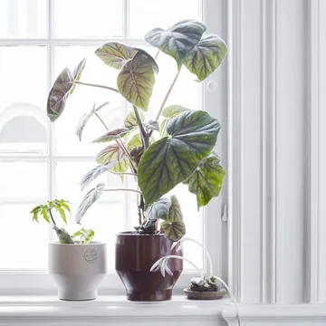 Doniczka Edge (do użytku wewnątrz budynku) Ø18 cm - burned red - Fritz Hansen