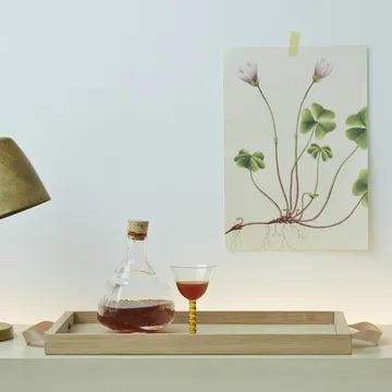 Taca Norr - dąb - Fritz Hansen