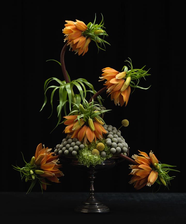 Kenzan Ikebana Garden Glory Flower Frogs, Large Garden Glory