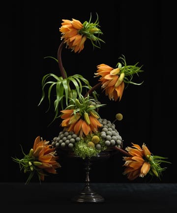 Kenzan Ikebana Garden Glory Flower Frogs - Medium - Garden Glory