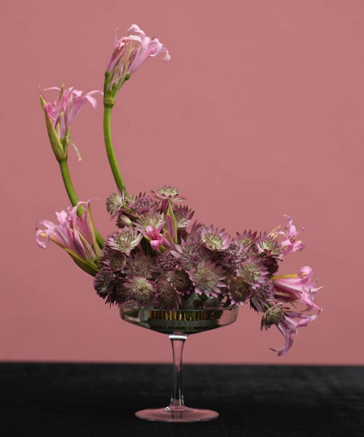 Kenzan Ikebana Garden Glory Flower Frogs, Small Garden Glory