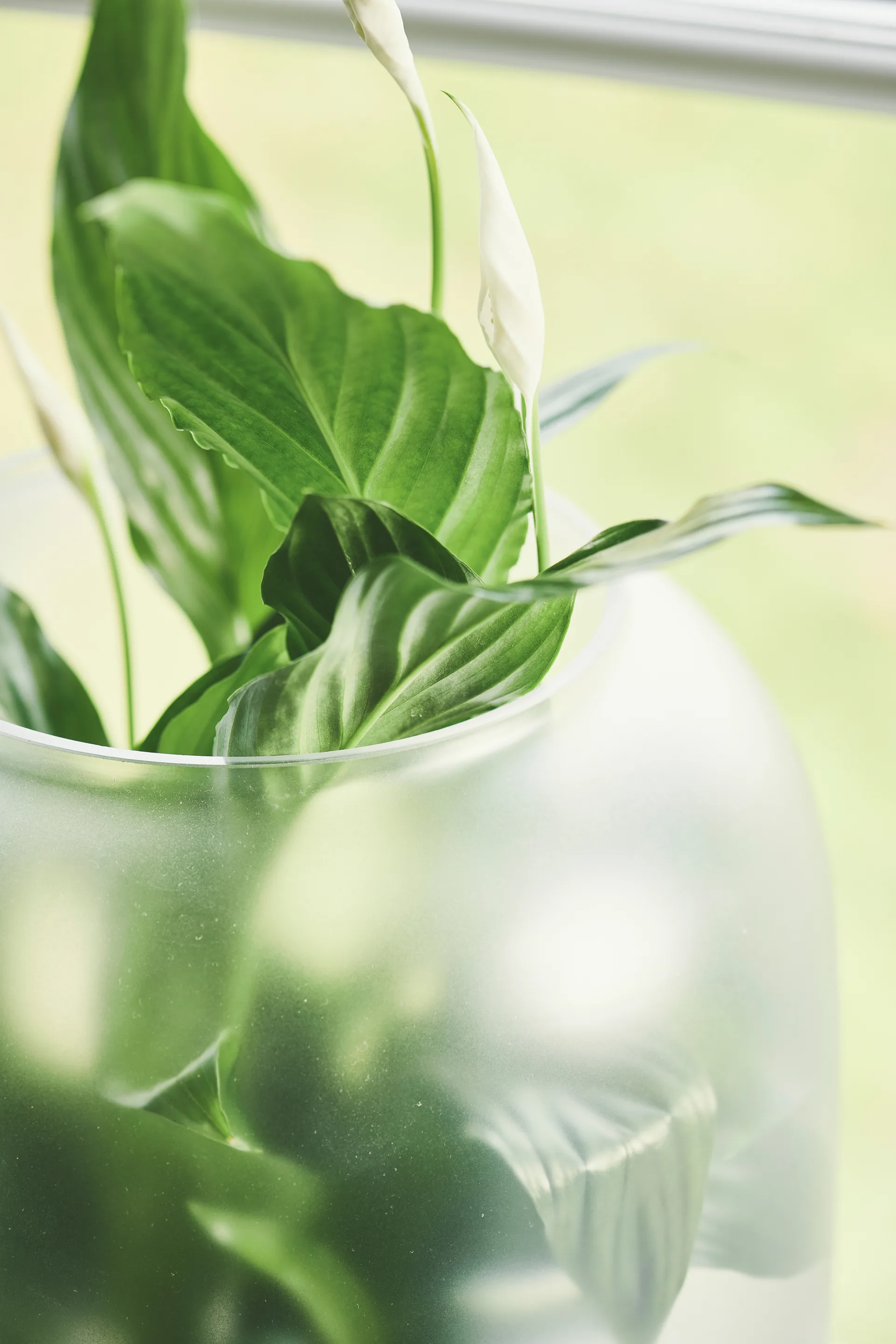 Doniczka z matowego szkła Nebl Ø26 cm, Szary Gejst