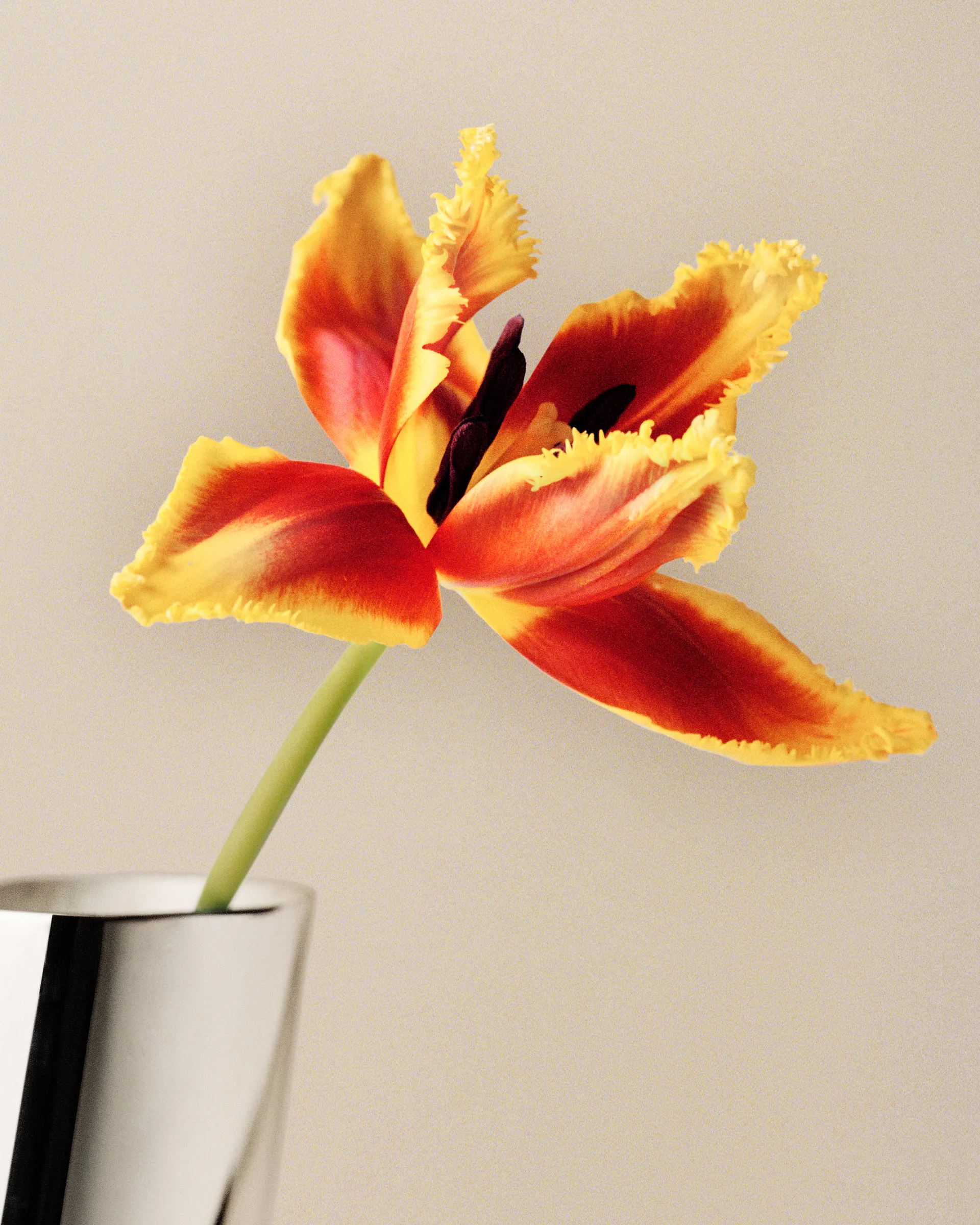 Wazon large Lituus 34,2 cm, Stal nierdzewna Georg Jensen