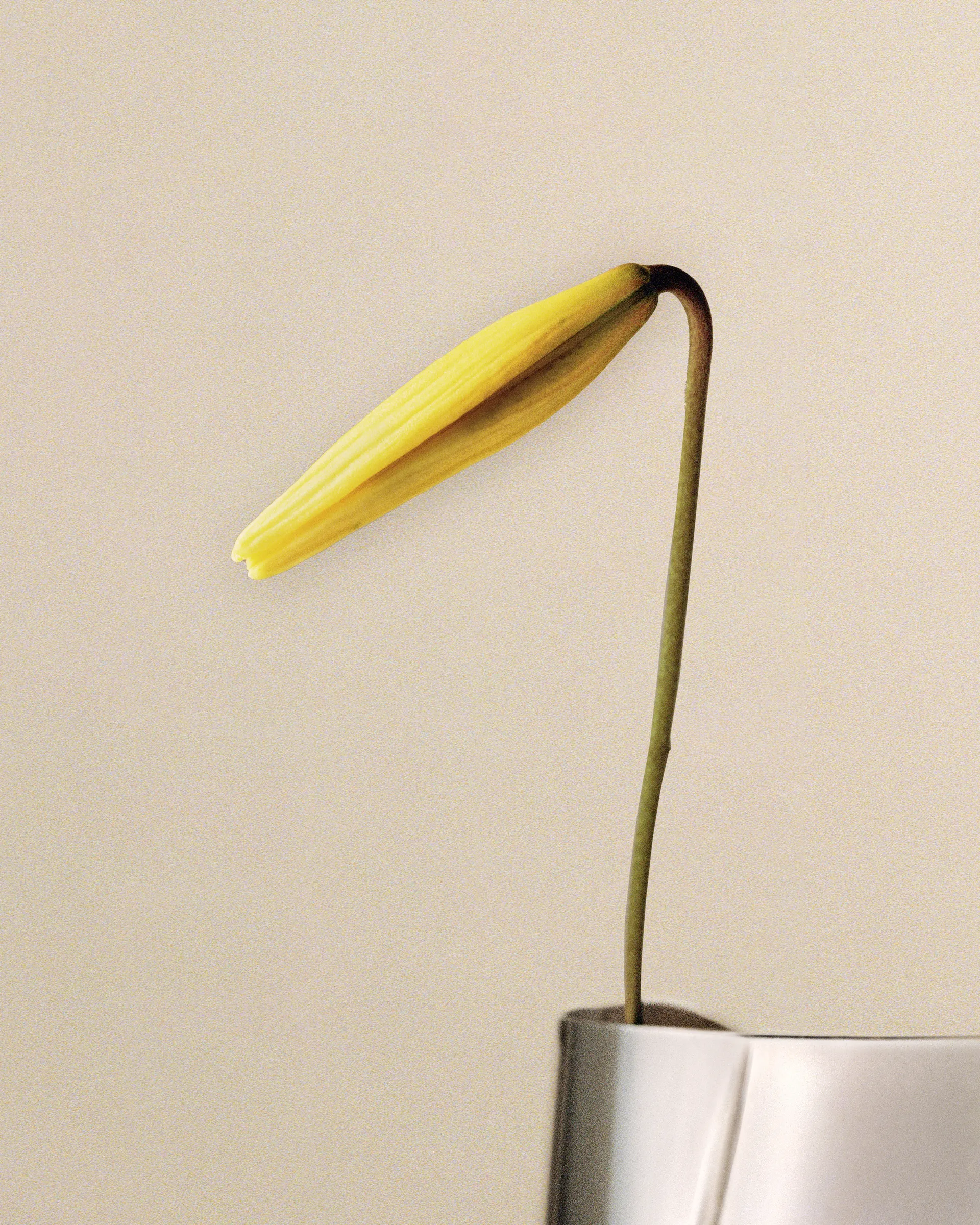 Wazon large Lituus 34,2 cm, Stal nierdzewna Georg Jensen