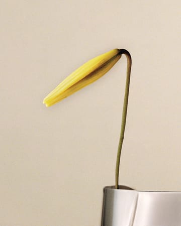 Wazon large Lituus 34,2 cm - Stal nierdzewna - Georg Jensen