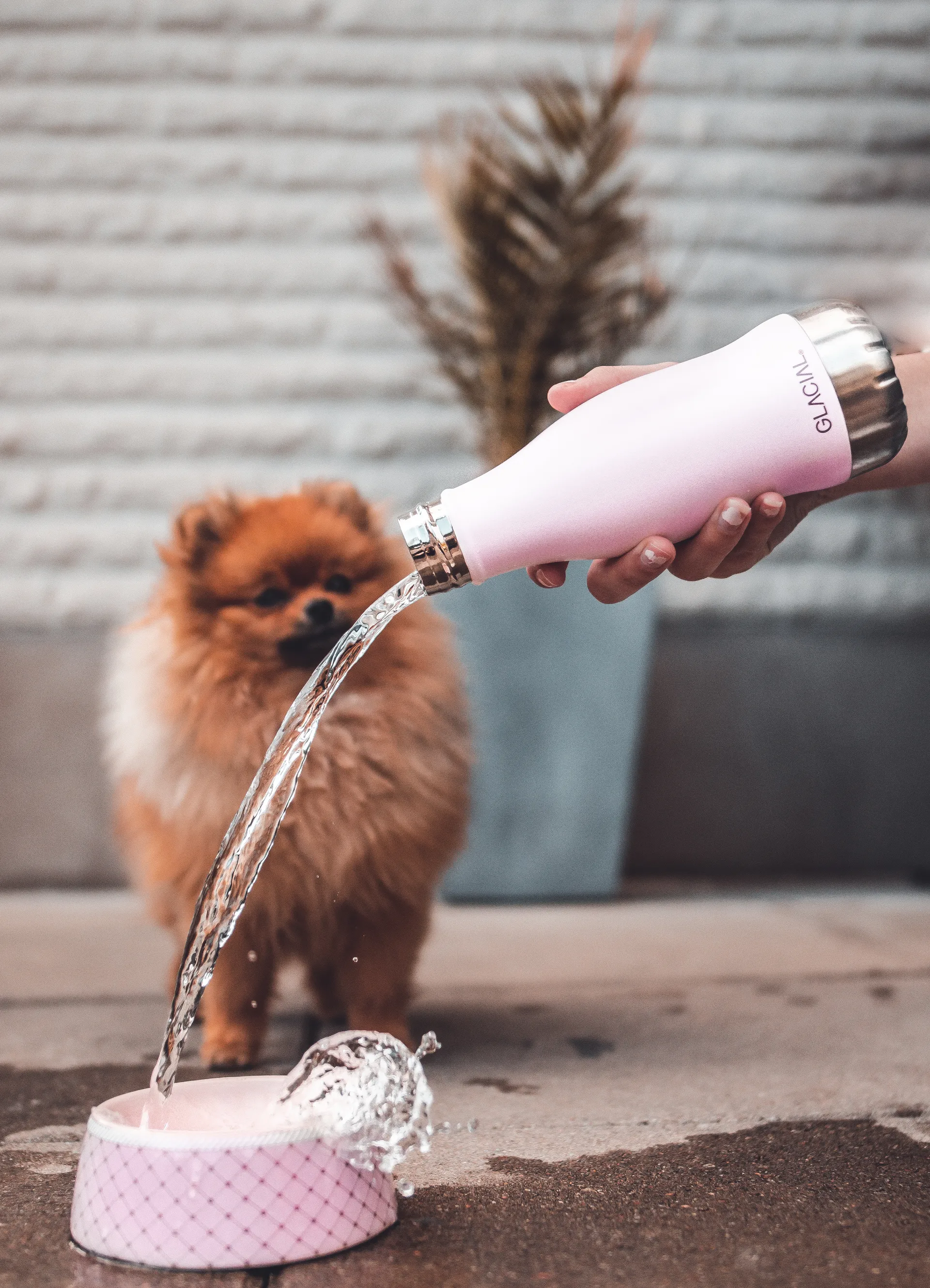 Glacial butelka na wodę 280 ml, Matte pink powder Glacial