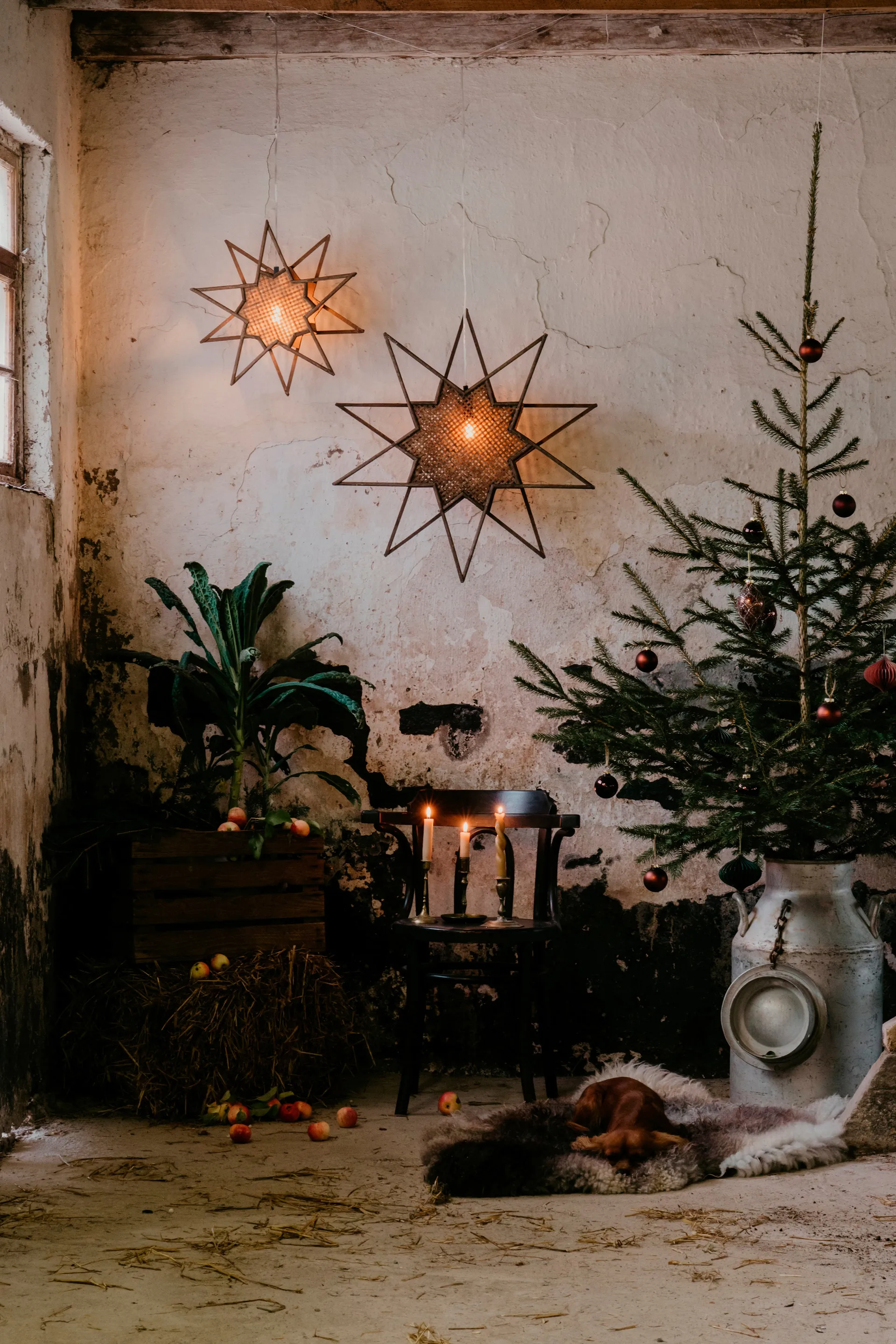 Gwiazda adwentowa Karin Ø70 cm, Brązowy Globen Lighting