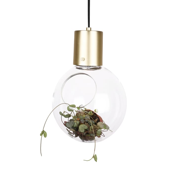 Lampa sufitowa Mini Hole - przezroczysty-mosiądz - Globen Lighting