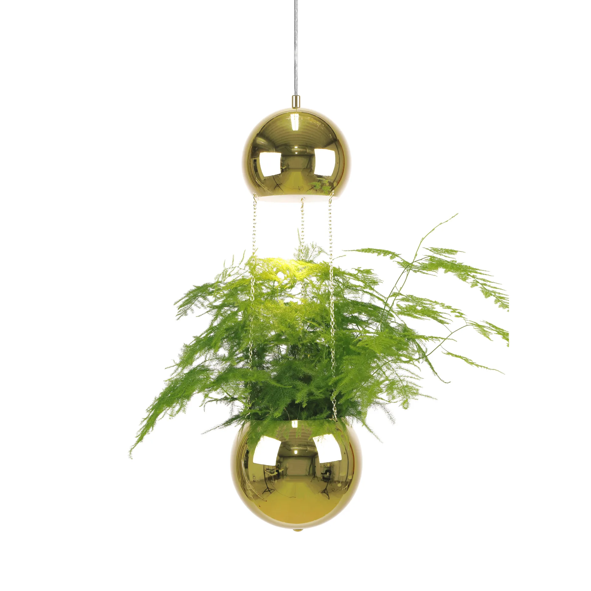 Lampa wisząca z doniczką Planter, mosiądz Globen Lighting