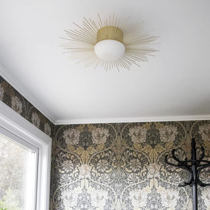Plafon/lampa ścienna Soleil Ø56 cm - Mosiądz szczotkowany - Globen Lighting
