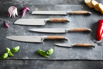 Zestaw noży kuchennych Laguiole By Hâws, 5-częściowy - Oliwkowy - Hâws